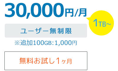30,000円/月 ユーザー無制限 1TB 追加100GB:1,000円